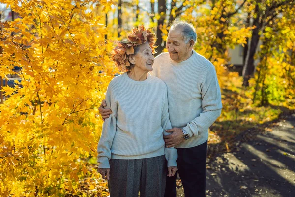 Felice vecchia coppia divertirsi al parco autunnale. L'uomo anziano che indossa una corona di foglie autunnali alla moglie anziana — Foto Stock