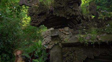 Campuhan sırt yürüyüş veya Ressamlar Ubud yürüyüş gün batımı sırasında yürüyen sarı elbiseli genç bir kadının Süper slowmotion çekim. Bali'deki seyahat noktaları. Travell bali kavramı.