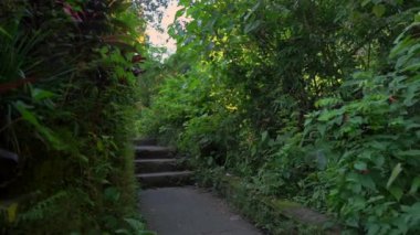 Campuhan sırt yürüyüş veya Ressamlar Ubud yürüyüş gün batımı sırasında yürüyen sarı elbiseli genç bir kadının Süper slowmotion çekim. Bali'deki seyahat noktaları. Travell bali kavramı.