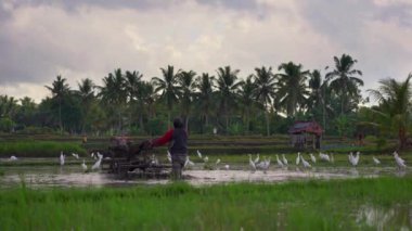 çiftçiler pirinç ekimönce tarla yetiştirmek. Alan çamurlu su ile kaplıdır. Güzel kırsal sahne. Güneydoğu Asya konseptine Travell.