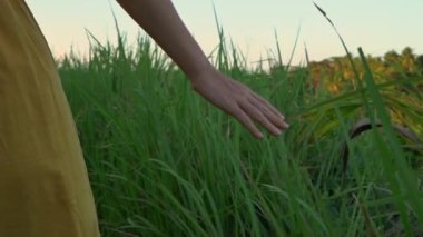 Campuhan sırt yürüyüş veya Ressamlar Ubud yürüyüş gün batımı sırasında yürüyen sarı elbiseli genç bir kadının Süper slowmotion çekim. Bali'deki seyahat noktaları. Travell bali kavramı.