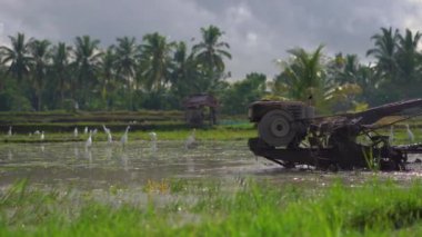çiftçiler pirinç ekimönce tarla yetiştirmek. Alan çamurlu su ile kaplıdır. Güzel kırsal sahne. Güneydoğu Asya konseptine Travell.