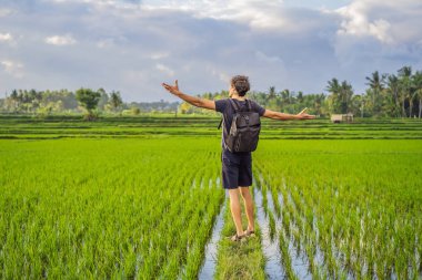 Sırt çantası olan erkek turist pirinç tarlasında