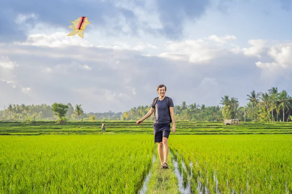 Adam Ubud bir pirinç alanında bir uçurtma başlatmak, Bali Adası, Endonezya — Stok fotoğraf