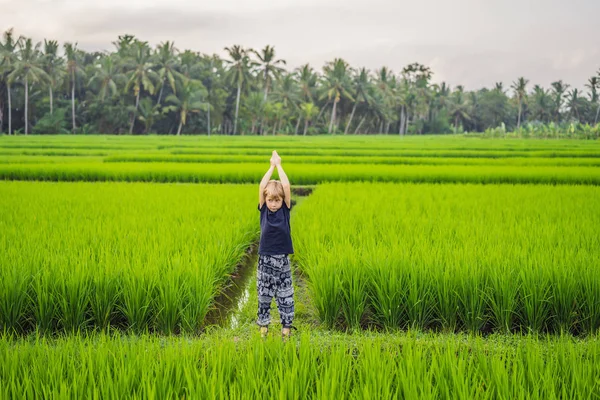 Мальчик практикует йогу на рисовом поле, на открытом воздухе. Гимнастические упражнения — стоковое фото