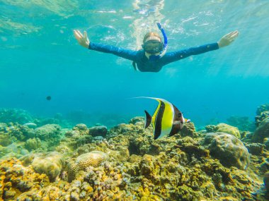 Şnorkel maskesi mutlu kadın mercan resifi deniz havuzunda tropikal balıklar ile sualtı dalış. Seyahat yaşam tarzı, su sporları açık macera, yaz plaj tatilinde yüzme dersleri
