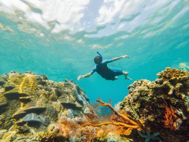 Şnorkel maskesi mutlu adam mercan resifi deniz havuzunda tropikal balıklar ile sualtı dalış. Seyahat yaşam tarzı, su sporları açık macera, yaz plaj tatilinde yüzme dersleri. Havadan görünüm