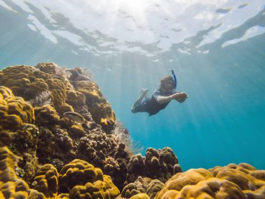 Şnorkel maskesi mutlu adam mercan resifi deniz havuzunda tropikal balıklar ile sualtı dalış. Seyahat yaşam tarzı, su sporları açık macera, yaz plaj tatilinde yüzme dersleri. Havadan görünüm