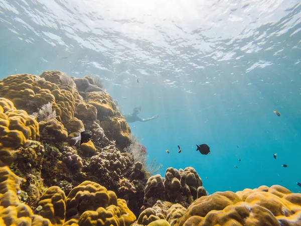 Podwodne życie krajobrazu. Fish Shoal w: Coral Reef Ocean Underwater — Zdjęcie stockowe