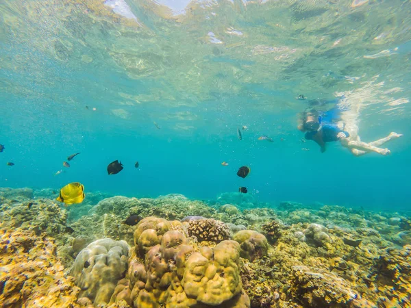 Happy woman in snorkeling mask dive underwater with tropical fishes in coral reef sea pool. Travel lifestyle, water sport outdoor adventure, swimming lessons on summer beach holiday — Stock Photo, Image