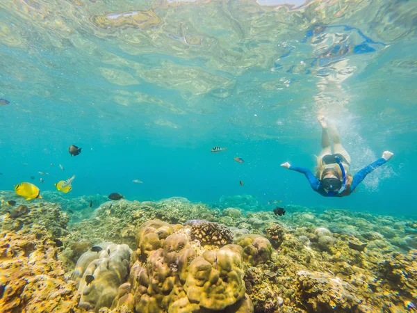 Happy woman in snorkeling mask dive underwater with tropical fishes in coral reef sea pool. Travel lifestyle, water sport outdoor adventure, swimming lessons on summer beach holiday — Stock Photo, Image