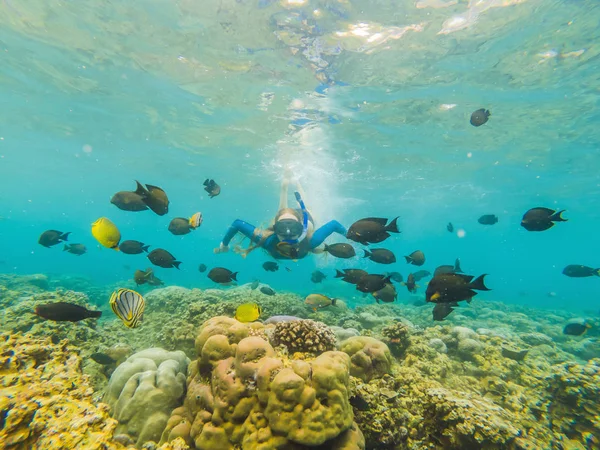 Happy woman in snorkeling mask dive underwater with tropical fishes in coral reef sea pool. Travel lifestyle, water sport outdoor adventure, swimming lessons on summer beach holiday — Stock Photo, Image