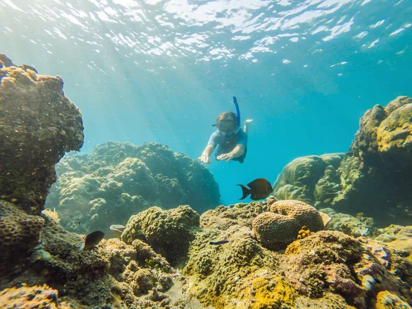 Happy man in snorkeling mask dive underwater with tropical fishes in coral reef sea pool. Travel lifestyle, water sport outdoor adventure, swimming lessons on summer beach holiday. Aerial view from — Stock Photo, Image