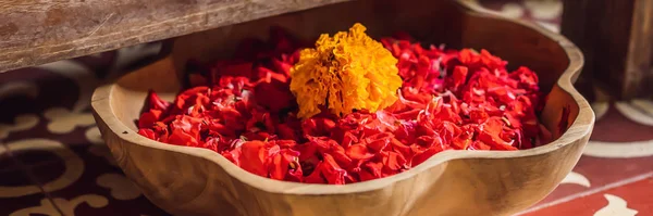Pétales de spa dans un bol avec des fleurs tropicales, traitement de pédicure spa BANNER, FORMAT LONG — Photo