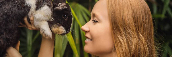 Mujer sosteniendo un conejo. Prueba de cosméticos en animales de conejo. Crueldad libre y detener el concepto de abuso animal BANNER, FORMATO LARGO — Foto de Stock