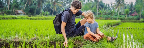 Opvoeding van kinderen op de natuur. Vader en zoon zitten in een rijstveld en kijken naar de natuur banner, lang formaat — Stockfoto