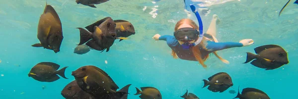 Femme heureuse en masque de plongée avec tuba plongée sous-marine avec des poissons tropicaux dans la piscine de récif corallien. Style de vie de voyage, sports nautiques aventure en plein air, cours de natation pendant les vacances d'été à la plage BANNER, LONG — Photo