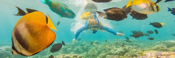 Щаслива жінка в снорклінговій масці пірнає під водою з тропічними рибами в басейні коралових рифів. Подорожі спосіб життя, водні види спорту пригоди на відкритому повітрі, уроки плавання на літньому пляжі відпустка BANNER, LONG — стокове фото