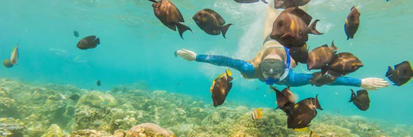 Šťastná žena se šnorchlováním masek ponořuje pod vodou tropické ryby v mořském bazénu korálového útesu. Cestovní životní styl, vodní sport venkovní dobrodružství, lekce plavání v létě plážový svátek nápis, Long — Stock fotografie