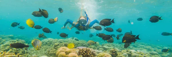 Happy woman in snorkeling mask dive underwater with tropical fishes in coral reef sea pool. Travel lifestyle, water sport outdoor adventure, swimming lessons on summer beach holiday BANNER, LONG — Stock Photo, Image