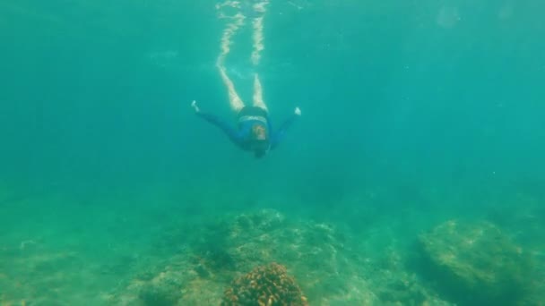 美しい海でシュノーケリングとダイビングをする若い女性のスローモーションショット — ストック動画