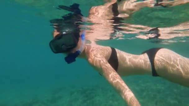 Scatto al rallentatore di una giovane donna che fa snorkeling e si tuffa in un bellissimo mare — Video Stock