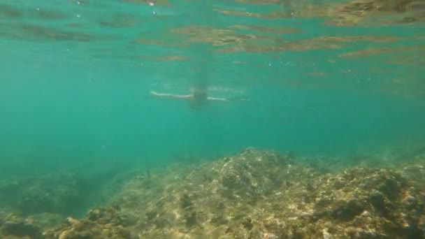 一个年轻女子在美丽的大海中浮潜和潜水的慢动作镜头 — 图库视频影像