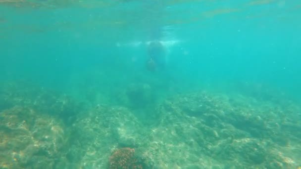 Slowmotion shot egy fiatal nő snorkeling és búvárkodás egy gyönyörű tenger — Stock videók
