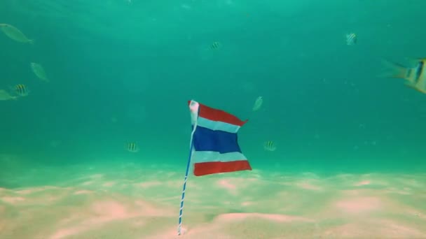 Colpo di rallentatore della bandiera della Thailandia sott'acqua in una limpida acqua blu. Bandiera circondata da pesci tropicali. Viaggio in Thailandia concetto. Immersioni e snorkeling in Thailandia concetto — Video Stock