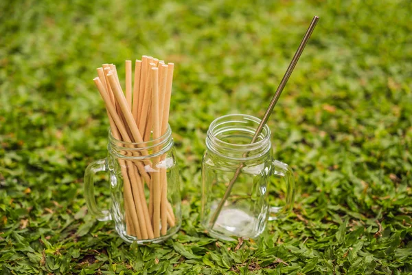 Acier potable vs pailles jetables sur fond d'herbe. Concept zéro déchet — Photo