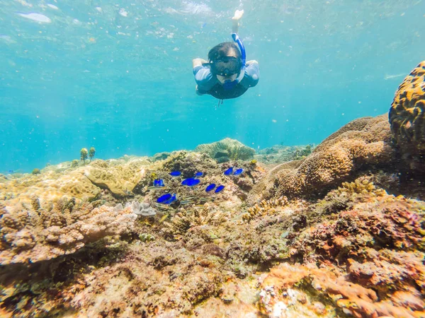 Чоловік занурюється під воду на рифі з м'якою кораловою і тропічною рибою — стокове фото