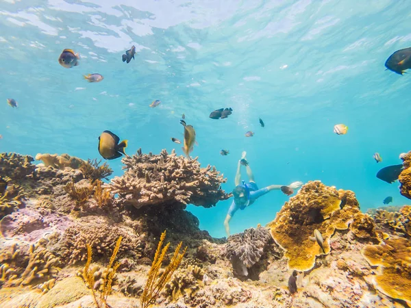 Чоловік занурюється під воду на рифі з м'якою кораловою і тропічною рибою — стокове фото