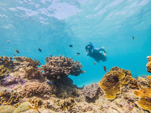 Homem snorkeling subaquático em um recife com corais macios e peixes tropicais — Fotografia de Stock