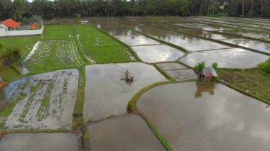 Çapa makinesi traktörkullanarak dikim için bir pirinç tarlası hazırlayan bir çiftçinin havadan görünümü. Güzel kırsal sahne