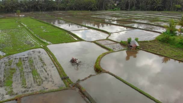 Vista aérea de um agricultor que prepara um campo de arroz para plantação com trator de perfilhos. Bela cena rural — Vídeo de Stock