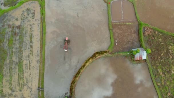 Aerial view on a farmer that preparing a rice field for planting using tiller tractor. Beautiful rural scene — Stock Video