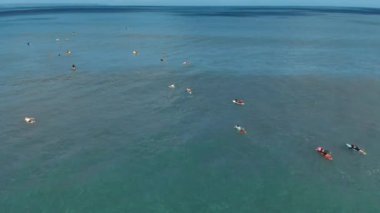 Denizde eğitim sörfçü grup havadan çekim