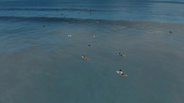 Tiro aéreo de grupo de surfistas entrenando en un mar — Vídeo de stock