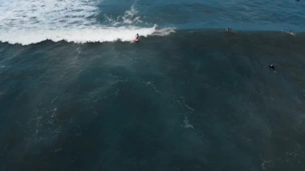 Lotnicze strzał surfer jazda na fali — Wideo stockowe