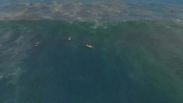 긴 보드에서 서핑하는 법을 배우는 서퍼의 공중 촬영 — 비디오