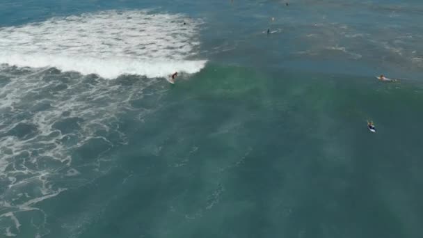 Luchtfoto van een surfer die op een golf rijdt — Stockvideo