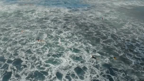 Tiro aéreo de grupo de surfistas entrenando en un mar — Vídeo de stock