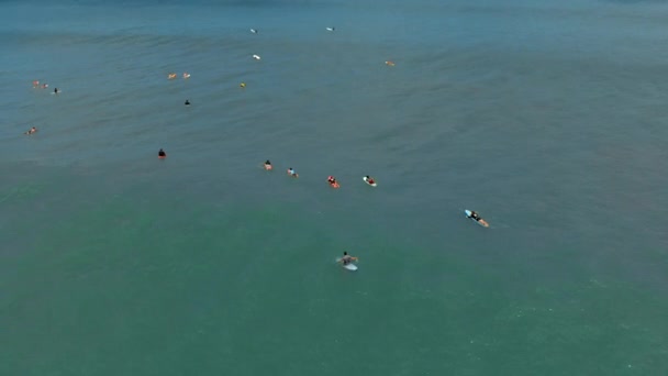 Colpo aereo di gruppo di surfisti che si allenano in un mare — Video Stock