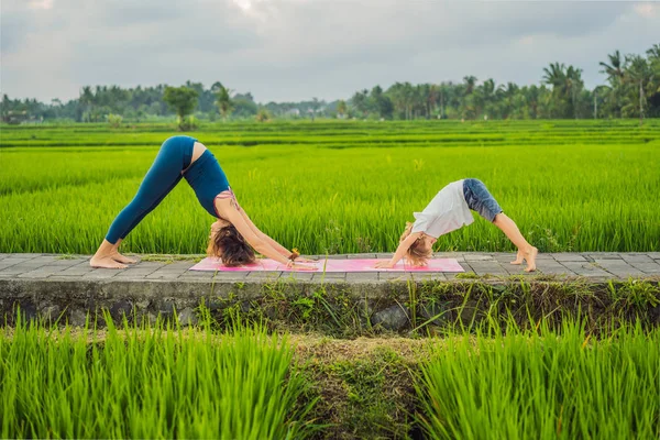 Boy and his yoga teacher doing yoga in a rice field