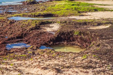 Pantai Tegal Wangi Beach, Bali Adası, Endonezya