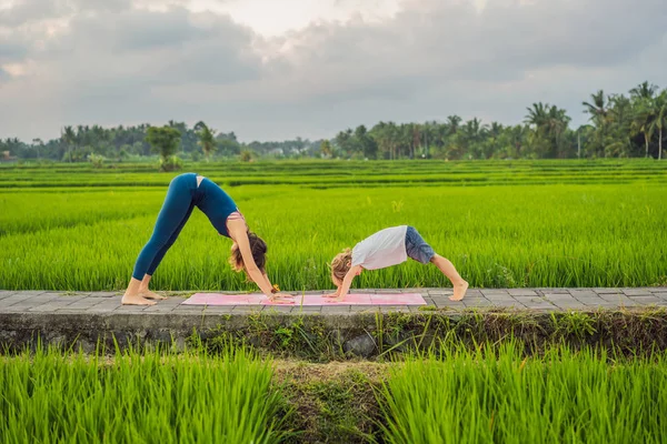 Boy and his yoga teacher doing yoga in a rice field