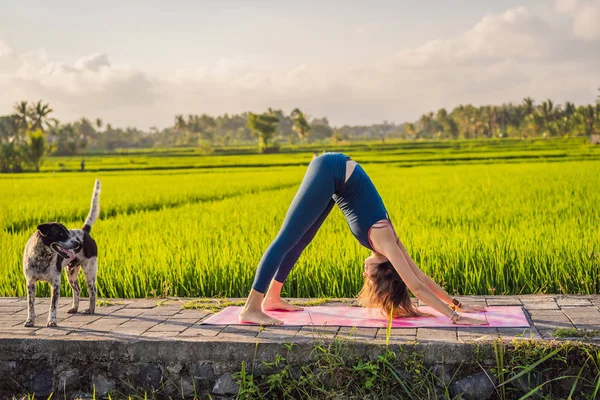 Junge Frau praktiziert Yoga im Freien in Reisfeldern am Morgen während eines Wellness-Retreats in Bali — Stockfoto
