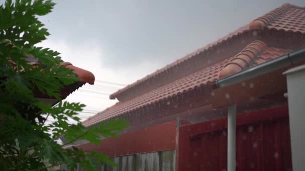 Superslowmotion disparo de una fuerte lluvia tropical — Vídeo de stock