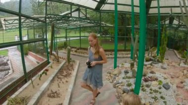 Aile ziyaret kaktüsler, kaktüs Bölgesi'nde bir botanik bahçesi Pennang, Malezya