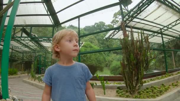 Familie bezoeken de cactussen, cactus zone in een botanische tuin van Pennang, Maleisië — Stockvideo